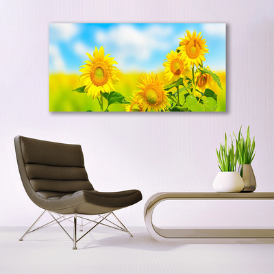 Leinwand-Bilder Sonnenblumen Pflanzen