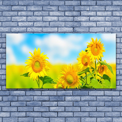 Leinwand-Bilder Sonnenblumen Pflanzen