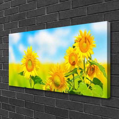 Leinwand-Bilder Sonnenblumen Pflanzen