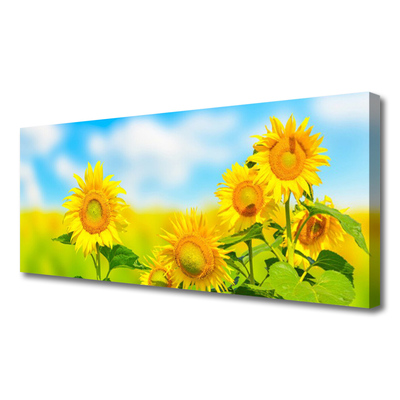 Leinwand-Bilder Sonnenblumen Pflanzen