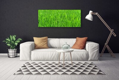 Leinwand-Bilder Gras Natur