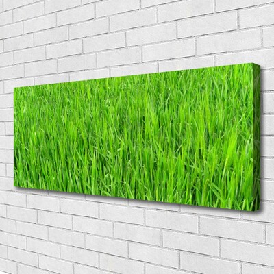 Leinwand-Bilder Gras Natur