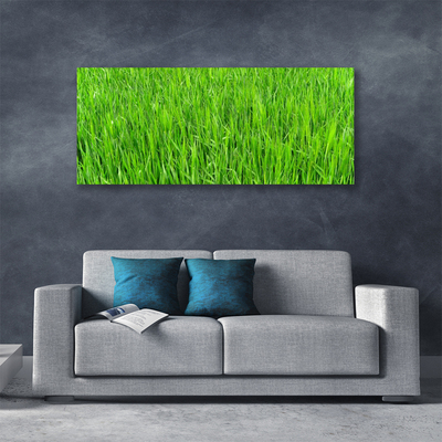 Leinwand-Bilder Gras Natur