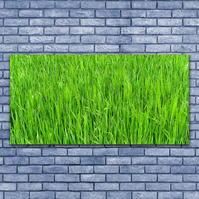 Leinwand-Bilder Gras Natur