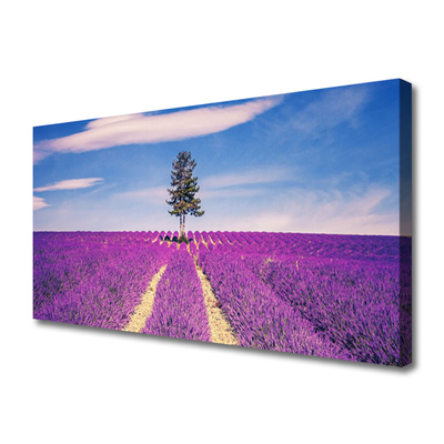 Leinwand-Bilder Wiese Baum Landschaft