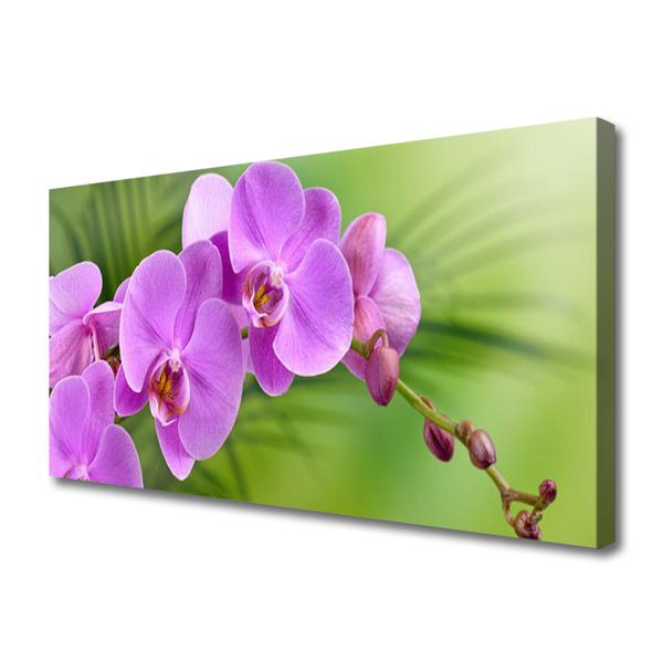 Leinwand-Bilder Blumen Gebäude
