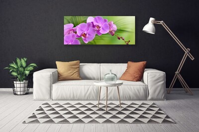 Leinwand-Bilder Blumen Gebäude