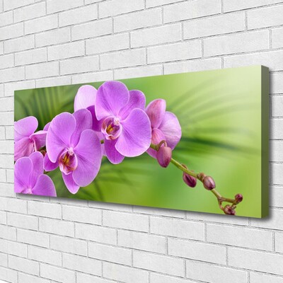 Leinwand-Bilder Blumen Gebäude