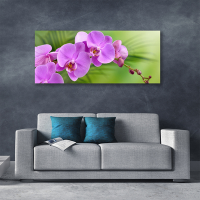 Leinwand-Bilder Blumen Gebäude