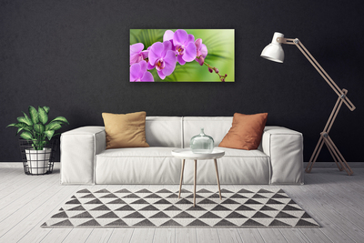 Leinwand-Bilder Blumen Gebäude
