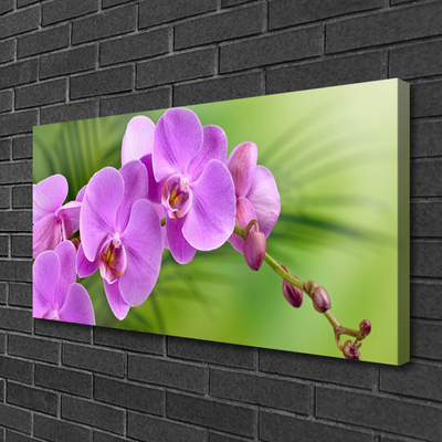 Leinwand-Bilder Blumen Gebäude