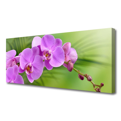 Leinwand-Bilder Blumen Gebäude