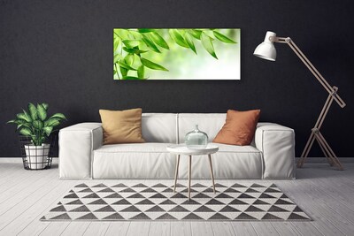 Leinwand-Bilder Blätter Pflanzen