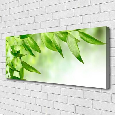 Leinwand-Bilder Blätter Pflanzen