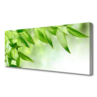 Leinwand-Bilder Blätter Pflanzen