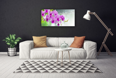 Leinwand-Bilder Blumen Pflanzen