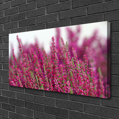 Leinwand-Bilder Blumen Pflanzen