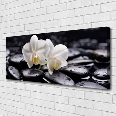 Leinwand-Bilder Blumen Steine Kunst