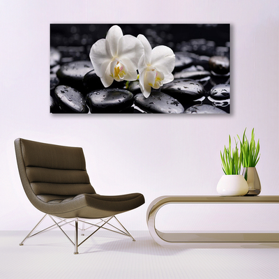 Leinwand-Bilder Blumen Steine Kunst