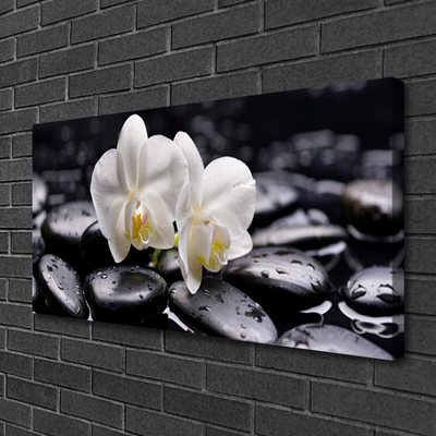 Leinwand-Bilder Blumen Steine Kunst