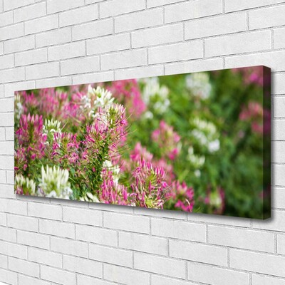 Leinwand-Bilder Blumen Pflanzen