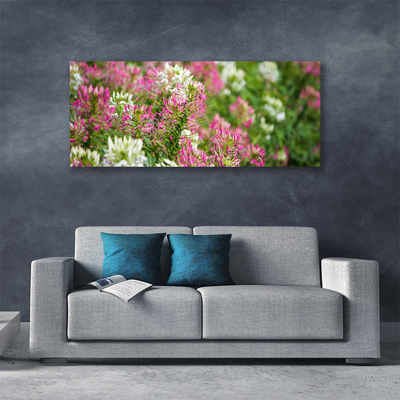 Leinwand-Bilder Blumen Pflanzen