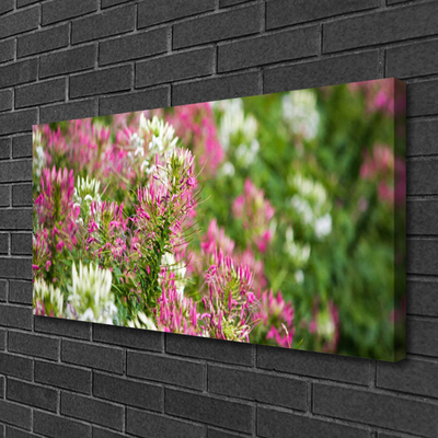 Leinwand-Bilder Blumen Pflanzen