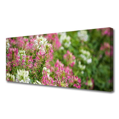 Leinwand-Bilder Blumen Pflanzen