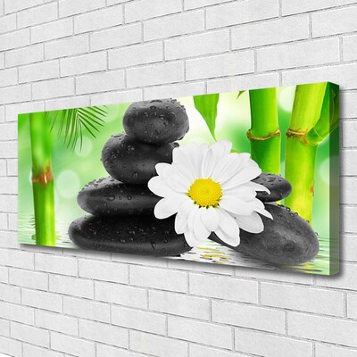 Leinwand-Bilder Bambusrohre Blume Steine Kunst