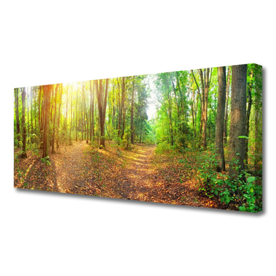 Leinwand-Bilder Wald Natur