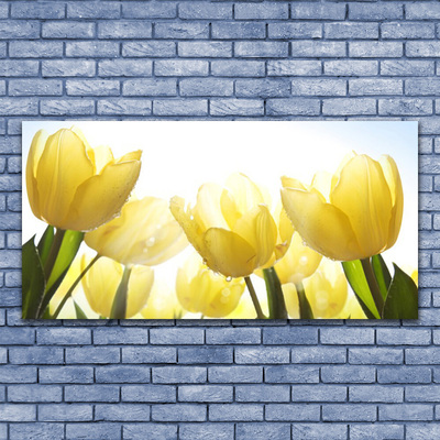 Leinwand-Bilder Tulpen Pflanzen