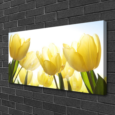 Leinwand-Bilder Tulpen Pflanzen