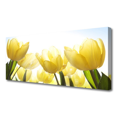 Leinwand-Bilder Tulpen Pflanzen