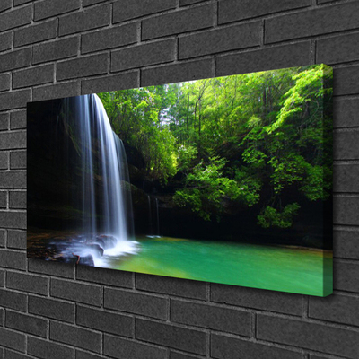 Leinwand-Bilder Wasserfall Wald Natur