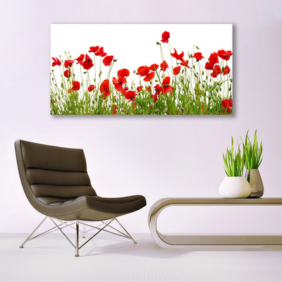 Leinwand-Bilder Wiese Mohnblumen Natur