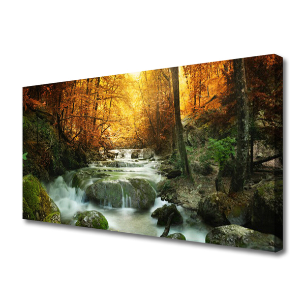 Leinwand-Bilder Wasserfall Wald Steine Natur