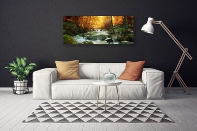 Leinwand-Bilder Wasserfall Wald Steine Natur
