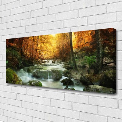 Leinwand-Bilder Wasserfall Wald Steine Natur