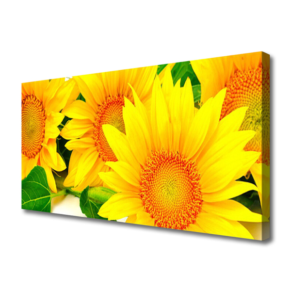 Leinwand-Bilder Sonnenblumen Pflanzen