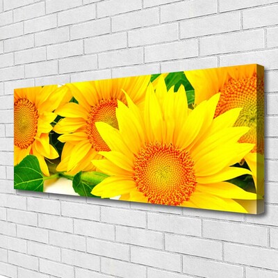 Leinwand-Bilder Sonnenblumen Pflanzen