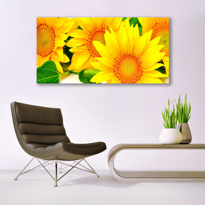 Leinwand-Bilder Sonnenblumen Pflanzen