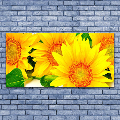 Leinwand-Bilder Sonnenblumen Pflanzen