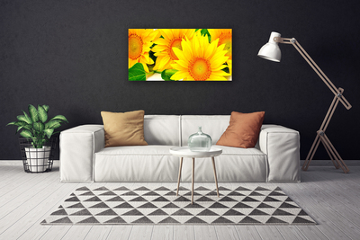 Leinwand-Bilder Sonnenblumen Pflanzen