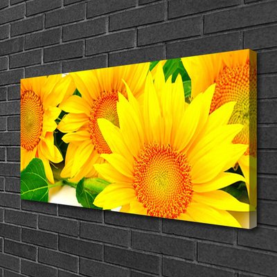 Leinwand-Bilder Sonnenblumen Pflanzen