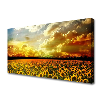 Leinwand-Bilder Wiese Sonnenblumen Pflanzen