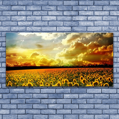 Leinwand-Bilder Wiese Sonnenblumen Pflanzen