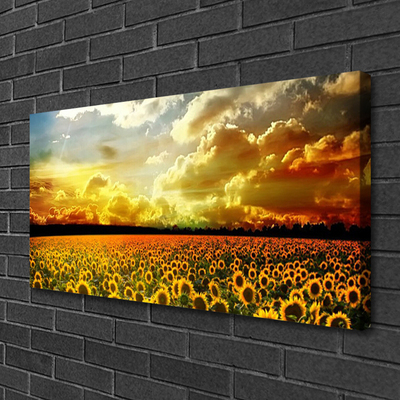 Leinwand-Bilder Wiese Sonnenblumen Pflanzen