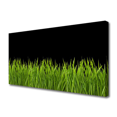 Leinwand-Bilder Gras Natur