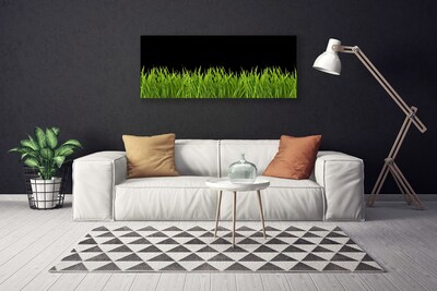 Leinwand-Bilder Gras Natur