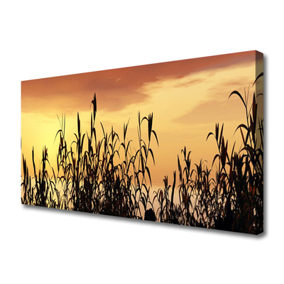 Leinwand-Bilder Blätter Pflanzen